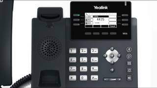 T41PT42G IP Phone  Placing and Answering Calls [upl. by Leveroni]