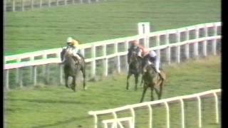 1975 Fighting Fifth Hurdle [upl. by Louls]