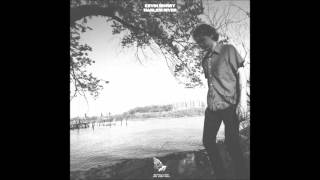 Kevin Morby  Harlem River [upl. by Nerot443]