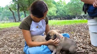 Maya gets AMBUSHED by puppies at the farm [upl. by Bernardo]