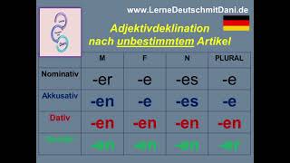 Deutsch lernen Adjektivdeklination nach unbestimmtem Artikel [upl. by Mandelbaum]