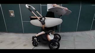 How to Install the Reenborn Baby Stroller  StepbyStep Guide [upl. by Mcgill]