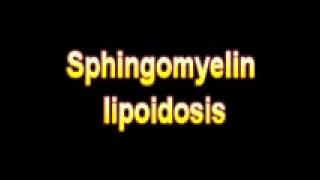 What Is The Definition Of Sphingomyelin lipoidosis Medical School Terminology Dictionary [upl. by Sualkcin55]