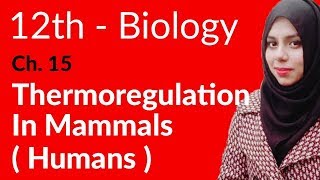 2nd Year Biology Ch 15  Thermoregulation In Mammals Humen  FSc Biology Book 2 [upl. by Candi]