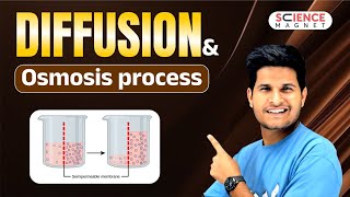 Diffusion and Osmosis process explained neerajsir sciencemagnet [upl. by Stilwell]