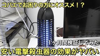 コバエ対策で安い電撃殺虫器を設置してみたら効果がヤバかった【1ヶ月検証】 [upl. by Htiekel417]