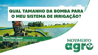 Qual Tamanho da Bomba para o meu Sistema de Irrigação [upl. by Dorina]