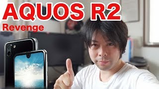 【スマホ】AQUOS R2のカメラ性能を更に使い込んでみた！そしたら・・・！今回は手ぶれ補正性のもお見せします！ [upl. by Nhabois]