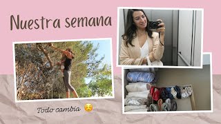 😙Adaptándonos buscando piñas y cambio de armario 👚👗🧥 LauraViveSimple [upl. by Moritz]