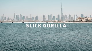 Slick Gorilla takes over the Middle East [upl. by Asp528]