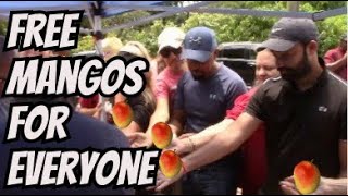 This Mango Tasting Event Was Epic [upl. by Ailev526]