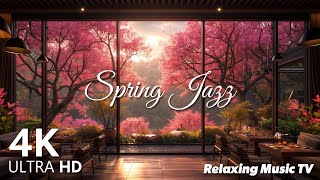 🌸Relaxing Jazz in a Spring Café Full of Cherry Blossoms🎵 Study and Heal Simultaneously [upl. by Liebowitz]