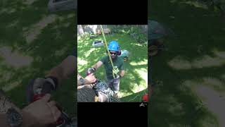 Floating block rigging  one way to do it arborist rigging treework [upl. by Salbu668]