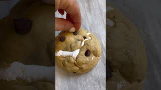 What Molly Made  Reindeer Tracks Pudding Cookies [upl. by Natsyrt]