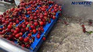 Novatec SA  Cherries Processing Line [upl. by Kired108]