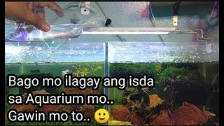 Do this Before Putting your Newly Brought Fish in your Aquarium  Acclimatization and Quarantining [upl. by Lorene]