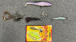 Top 5 Baits For October Bass Fishing [upl. by Ayanet]