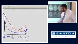 Introducing MRI The Spin Echo 15 of 56 [upl. by Elocyn888]