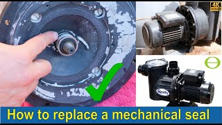 How to change a universal mechanical shaft seal impeller oring on an Eartheco amp Quality pool pump [upl. by Sivart]