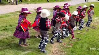 Danza Cholo Qorilazo en HD Niños de 3 a 4 añitos del centro educativo inicial ChancaParuro [upl. by Ycnuahc740]