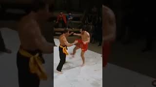 blood sport fight scenes van damme fight scenes jcvd [upl. by Airdnahc]