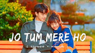 JO TUM MERE HO  Slowed  Reverb  Song 2024 [upl. by Arnold]