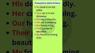 Possessive determiners in English  Basic English Grammar shorts [upl. by Eidoc903]