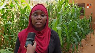 Linnovation au service du développement agricole au Niger [upl. by Windsor]