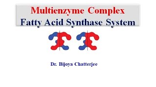 Multienzyme Complex [upl. by Nuy195]