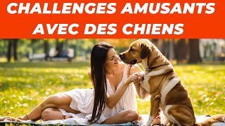 Challenges Amusants avec des Chiens Vous et le chien ensemble [upl. by Holton]