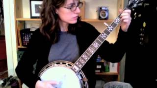 Wildwood Flower  Excerpt From the Custom Banjo Lesson from The Murphy Method [upl. by Haimirej]