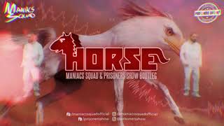 Salvatore Ganacci  Horse Maniacs Squad amp Prisoners Show Bootleg [upl. by Glynias]