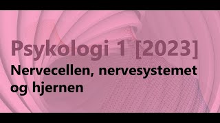 Psykologi 1  Nerveceller nervesystemet og hjernen [upl. by Atinuj]