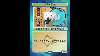 PHOTONS w Polar Bear Portablist [upl. by Ramey]