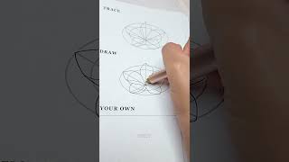 How I Draw Flowers  Plumeria step by step art [upl. by Orman808]