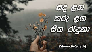 Sanda Laga  Sanda Laga taru laga slowedReverb  Nuba mage hada aragan  සද ළග [upl. by Bartlet869]