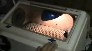 What is Micro Sandblasting TheGlassConciergecom [upl. by Thaddus109]