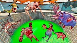 EXPERIMENT ZOOCHOSIS ANIMALS TRANSFORMATION INTO MUTANTS in Garrys Mod [upl. by Arraet]