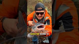 Restocking my DEAD Pond 🎣🔥part 10 shorts fishing [upl. by Mario]