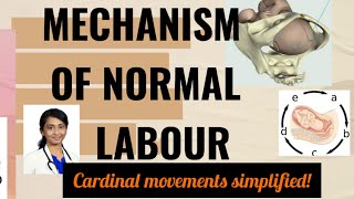 Cardinal Movements of Normal Labour Explained  StepbyStep guide for medical studentsneetpgusmle [upl. by Anitsuj491]