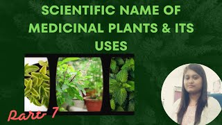 Medicinal Plant Name  Ayurvedic Plant name  Scientific name of Medicinal Plants amp its uses [upl. by Luciano]