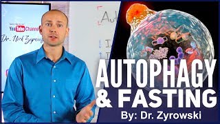 Autophagy And Fasting  Your Health Depends On It [upl. by Anhaj]