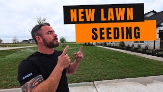 Beginners Guide To Seeding a New Lawn [upl. by Gatian396]