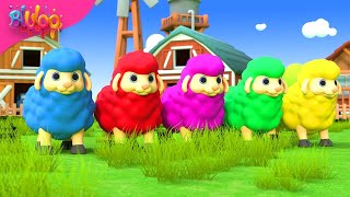 Baa Baa Black Sheep Song  Colorful Sheep  BluLoo Nursery Rhymes amp Kids Songs [upl. by Enisamoht983]