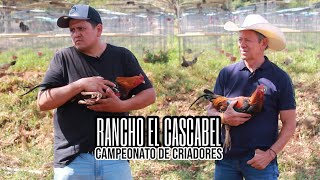 Rancho El Cascabel en el Campeonato de Criadores [upl. by Enimisaj]