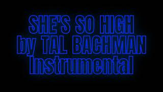 Shes so High by Tal Bachman Instrumental [upl. by Nalon217]