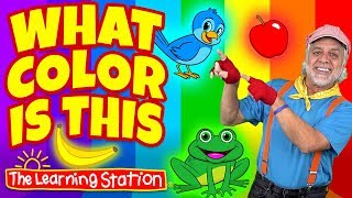 What Color is This 🐰 Color Song for Kids 🎈 Kids Phonics Songs 🐻 Kids Songs The Learning Station [upl. by Clarita]