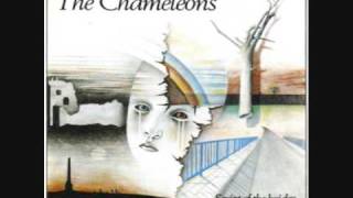 The Chameleons  Paper Tigers [upl. by Griffie]