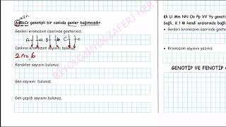 KALITIM 1DERS  KALITIMA GİRİŞ [upl. by Yslehc]