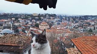 Safranbolu Turkey Eski Çarşı 2024  4k Walking Tour [upl. by Dnomyar614]